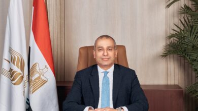 محمد أبو السعود