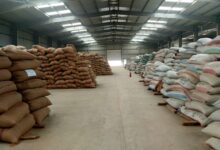 توريد القمح 2026