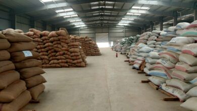 توريد القمح 2026